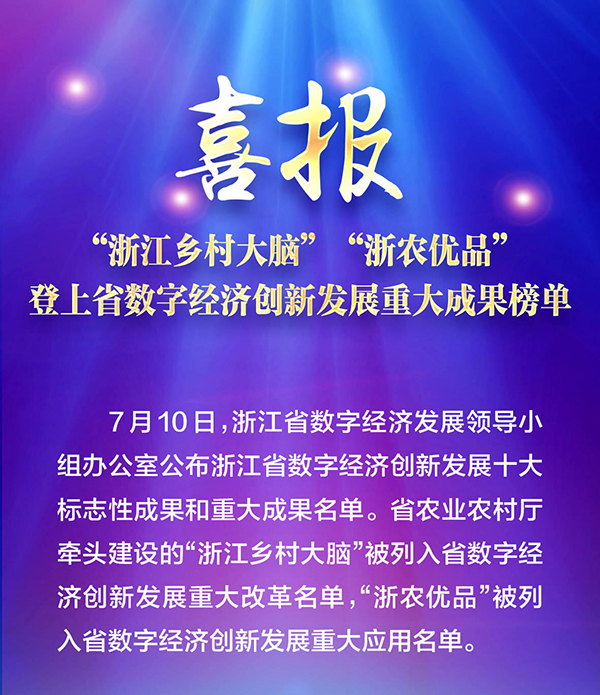 喜報！“浙江鄉(xiāng)村大腦”登上省數(shù)字經(jīng)濟創(chuàng)新發(fā)展重大成果榜單