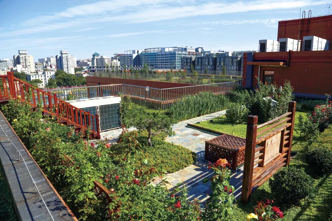 輕型廠房維修綠化 輕型廠房維修綠化